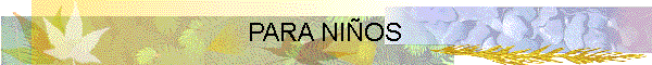 PARA NI�OS