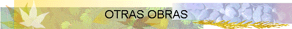 OTRAS OBRAS